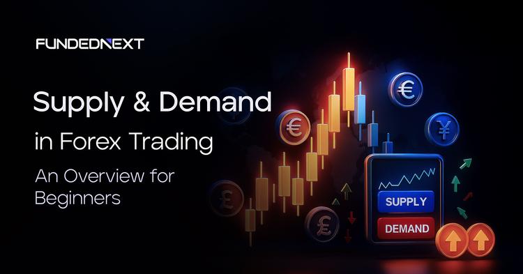 Supply and Demand in Forex Trading: An Overview for Beginners